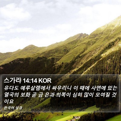 스가랴 14:14 KOR Bible Verse Image