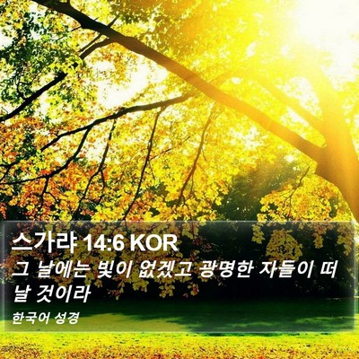 스가랴 14:6 KOR Bible Verse Image