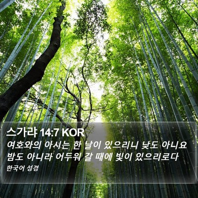 스가랴 14:7 KOR Bible Verse Image