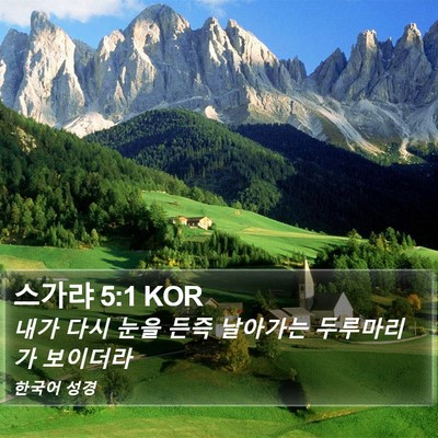 스가랴 5:1 KOR Bible Verse Image