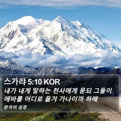 스가랴 5:10 KOR Bible Verse Image