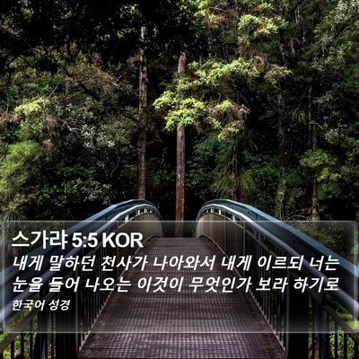 스가랴 5:5 KOR Bible Verse Image
