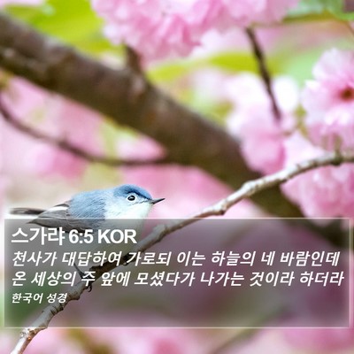스가랴 6:5 KOR Bible Verse Image