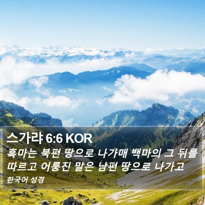 스가랴 6:6 KOR Bible Verse Image