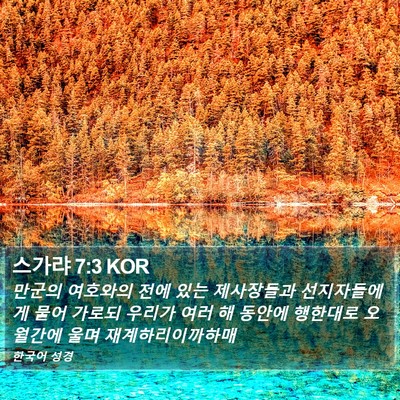 스가랴 7:3 KOR Bible Verse Image