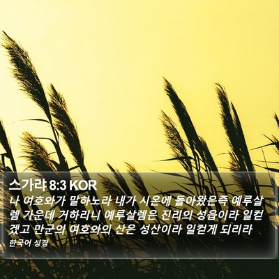 스가랴 8:3 KOR Bible Verse Image