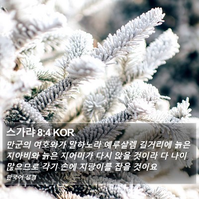 스가랴 8:4 KOR Bible Verse Image