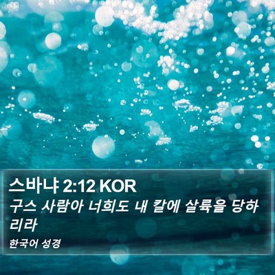 스바냐 2:12 KOR Bible Verse Image