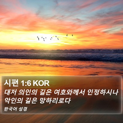 시편 1:6 KOR Bible Verse Image