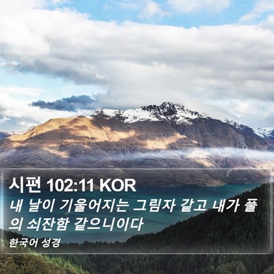 시편 102:11 KOR Bible Verse Image