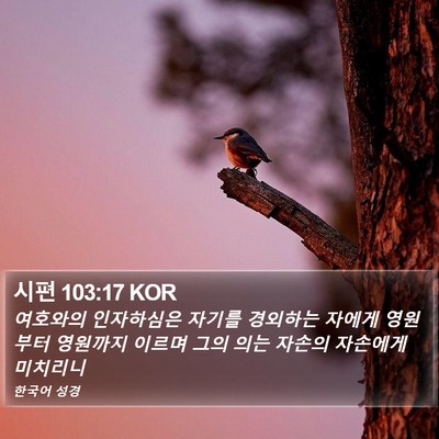 시편 103:17 KOR Bible Verse Image