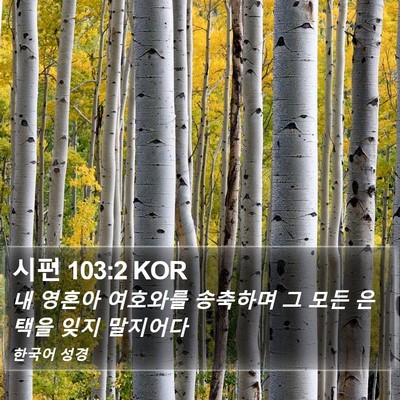 시편 103:2 KOR Bible Verse Image