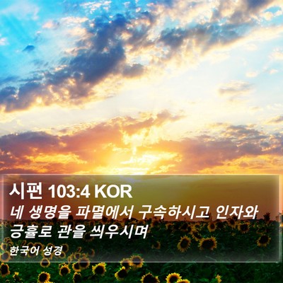 시편 103:4 KOR Bible Verse Image