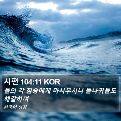 시편 104:11 KOR Bible Verse Image