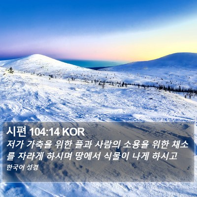 시편 104:14 KOR Bible Verse Image