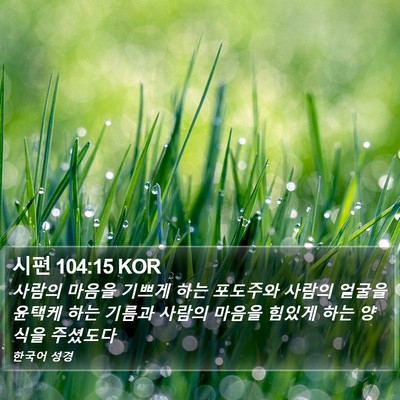 시편 104:15 KOR Bible Verse Image