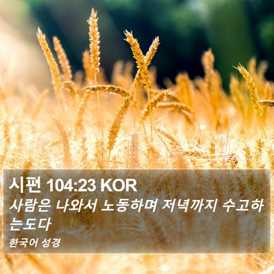 시편 104:23 KOR Bible Verse Image