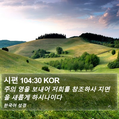시편 104:30 KOR Bible Verse Image