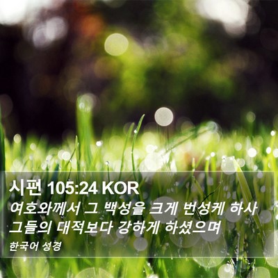 시편 105:24 KOR Bible Verse Image