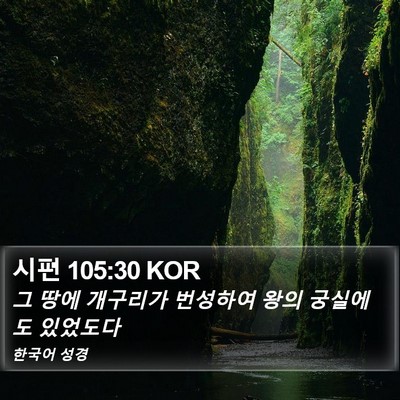 시편 105:30 KOR Bible Verse Image