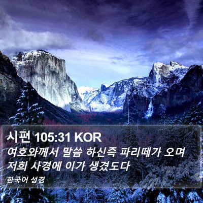 시편 105:31 KOR Bible Verse Image