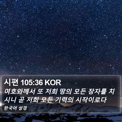 시편 105:36 KOR Bible Verse Image