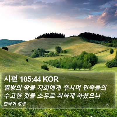 시편 105:44 KOR Bible Verse Image