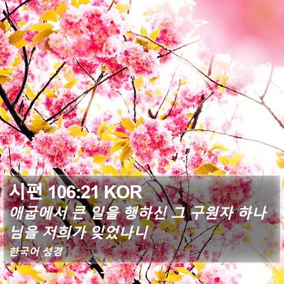 시편 106:21 KOR Bible Verse Image