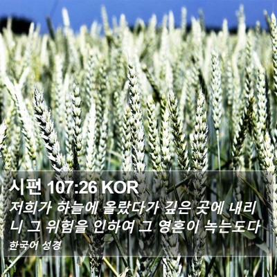 시편 107:26 KOR Bible Verse Image