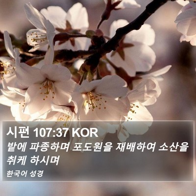 시편 107:37 KOR Bible Verse Image