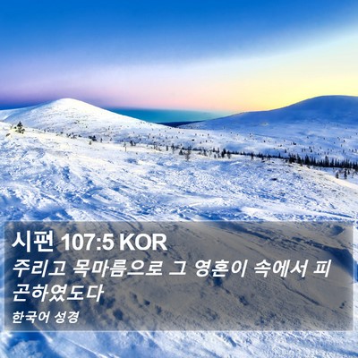 시편 107:5 KOR Bible Verse Image