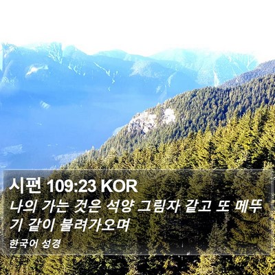 시편 109:23 KOR Bible Verse Image