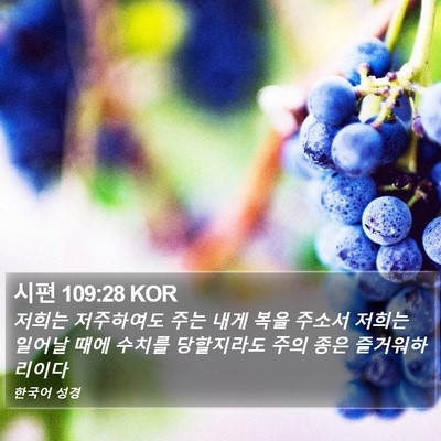 시편 109:28 KOR Bible Verse Image
