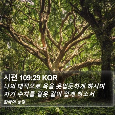 시편 109:29 KOR Bible Verse Image