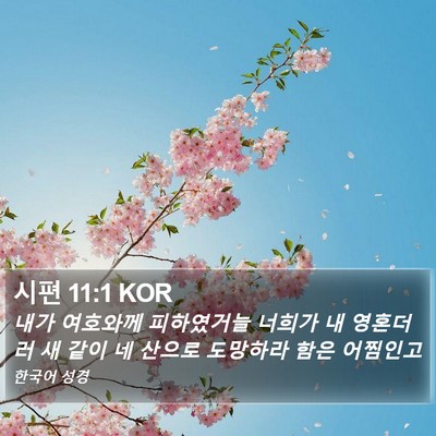 시편 11:1 KOR Bible Verse Image