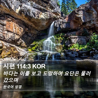 시편 114:3 KOR Bible Verse Image