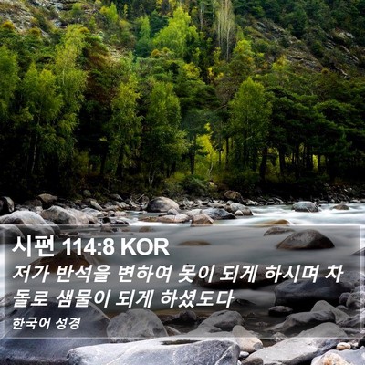 시편 114:8 KOR Bible Verse Image