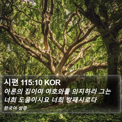 시편 115:10 KOR Bible Verse Image