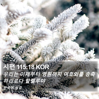 시편 115:18 KOR Bible Verse Image