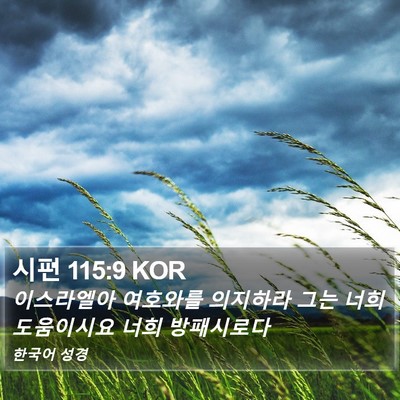 시편 115:9 KOR Bible Verse Image