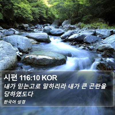 시편 116:10 KOR Bible Verse Image