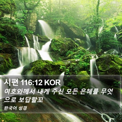 시편 116:12 KOR Bible Verse Image