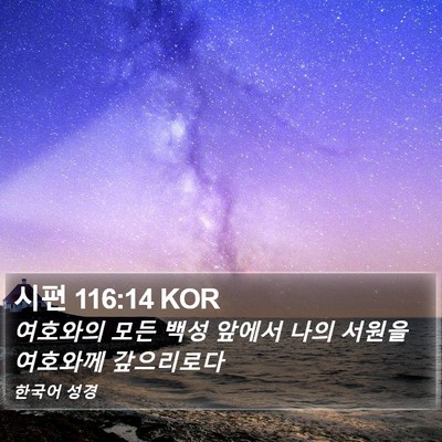 시편 116:14 KOR Bible Verse Image
