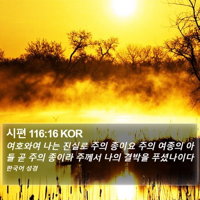 시편 116:16 KOR Bible Verse Image