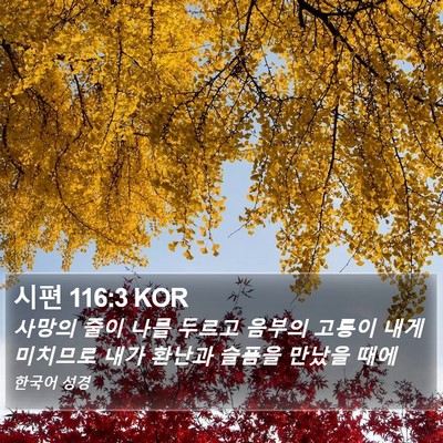 시편 116:3 KOR Bible Verse Image