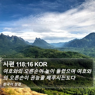시편 118:16 KOR Bible Verse Image