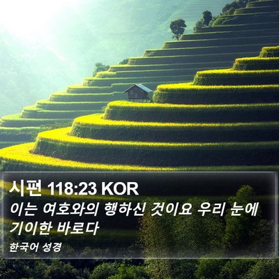 시편 118:23 KOR Bible Verse Image