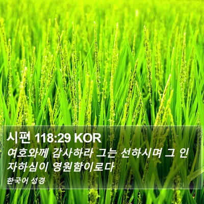 시편 118:29 KOR Bible Verse Image