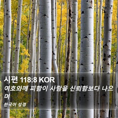 시편 118:8 KOR Bible Verse Image