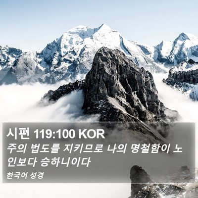시편 119:100 KOR Bible Verse Image